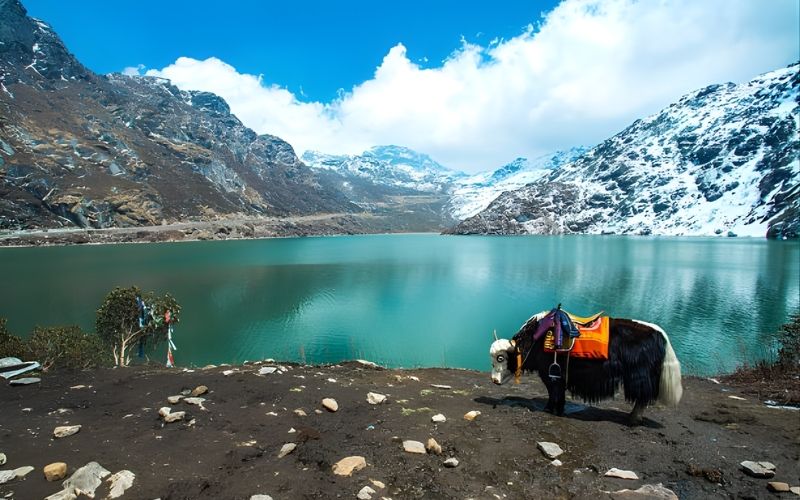Whispers of the Himalayas: North Sikkim Tour